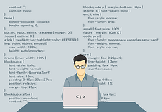 software programmer