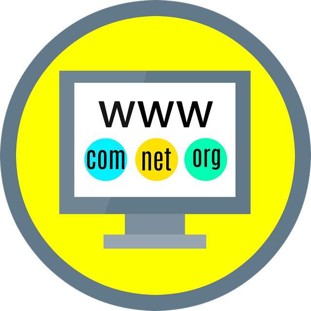 screen